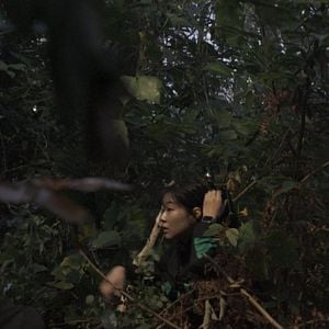 Foto Sirena: Sobrevivência na Ilha