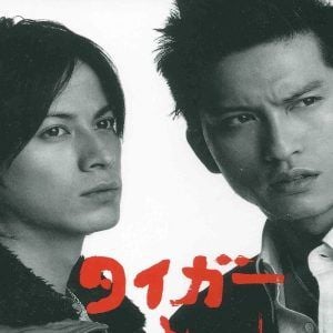 Foto Tigre e Dragão