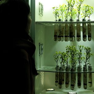 Foto Trenque Lauquen parte II