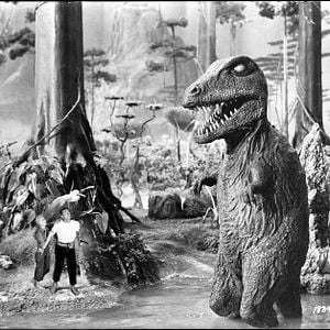 Foto Shirley Patterson