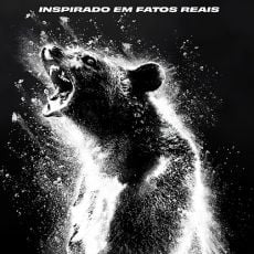 Foto Urso do Pó Branco