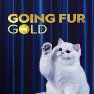 Foto Mascotes Extraordinários