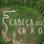 Foto Cabeça do Cachorro