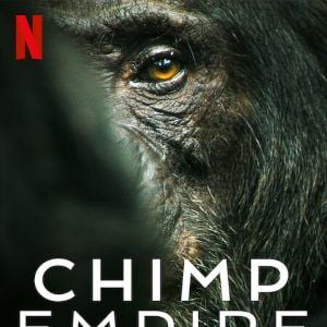 Foto O Império dos Chimpanzés