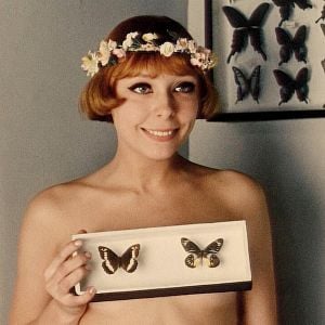 Foto As Pequenas Margaridas