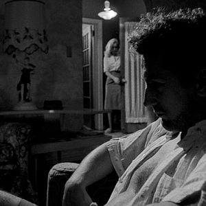 Foto Touro Indomável