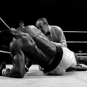 Foto Touro Indomável