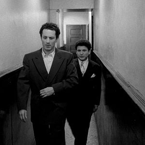 Foto Touro Indomável