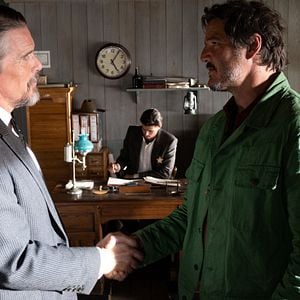 Foto Estranha Forma de Vida