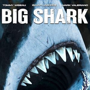 Foto Big Shark