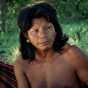 Foto A Flor do Buriti