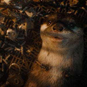 Foto Guardiões da Galáxia Vol. 3