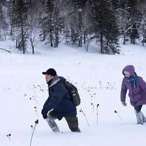 Foto A Fragilidade do Gelo