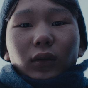 Foto Baavgai Bolohson