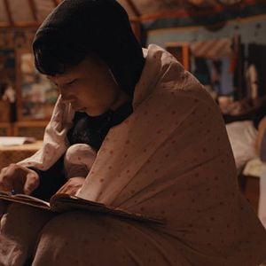 Foto Baavgai Bolohson