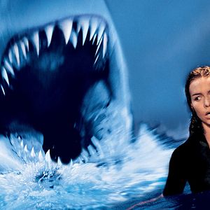 Foto Do Fundo do Mar