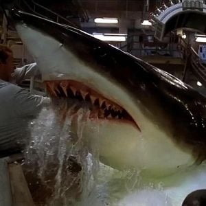 Foto Do Fundo do Mar