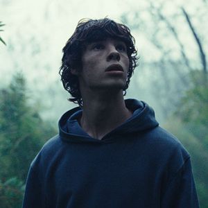 Foto Le Règne animal