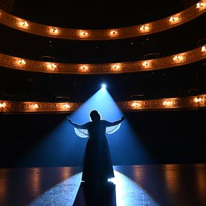 Foto Falling For Figaro