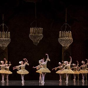Foto Paris Opera Ballet O Quebra Nozes