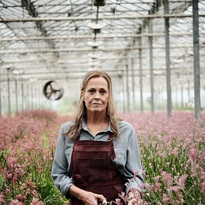 Foto As Flores Perdidas de Alice Hart