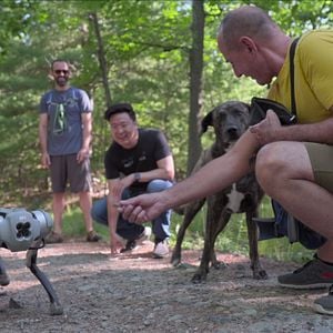 Foto Explorando o Desconhecido: Robôs Assassinos