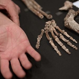 Foto Explorando o Desconhecido: Caverna de Ossos