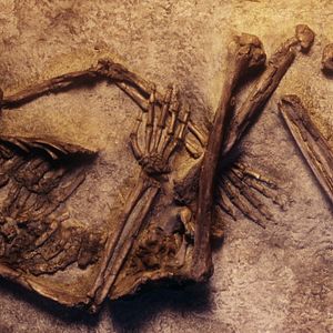 Foto Explorando o Desconhecido: Caverna de Ossos