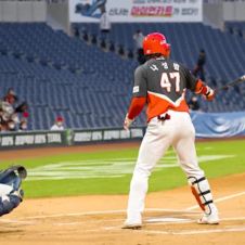 Foto Full Count - Beisebol Coreano