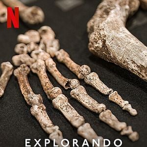 Foto Explorando o Desconhecido: Caverna de Ossos