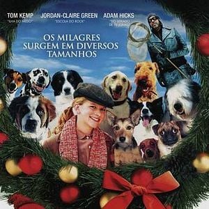 Foto Todos os Cães do Natal