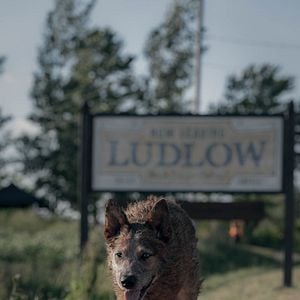 Foto O Cemitério Maldito: Como Tudo Começou
