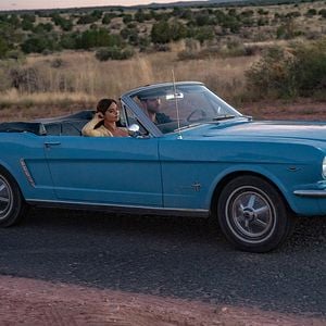 Foto Turismo Selvagem