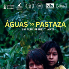 Foto Águas do Pastaza