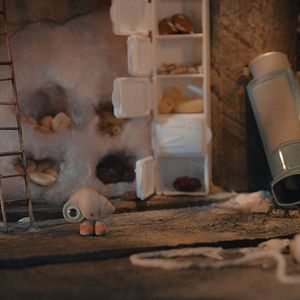 Foto Marcel, a Concha de Sapatos