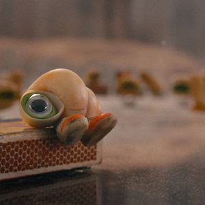 Foto Marcel, a Concha de Sapatos