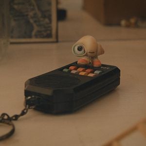 Foto Marcel, a Concha de Sapatos