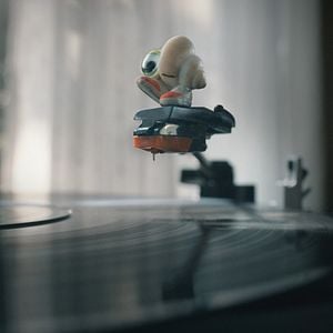 Foto Marcel, a Concha de Sapatos