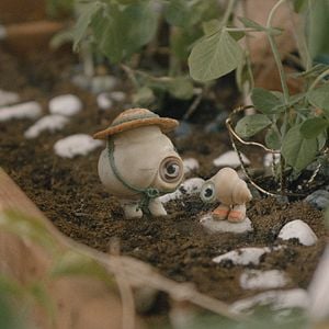 Foto Marcel, a Concha de Sapatos