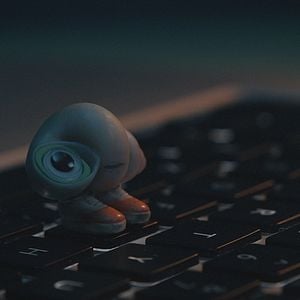 Foto Marcel, a Concha de Sapatos