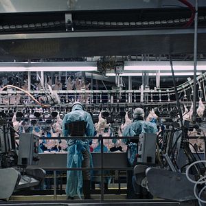 Foto Contaminação: A Verdade Sobre o que Comemos