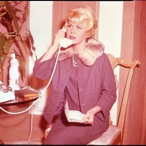 Foto A Teia de Renda Negra