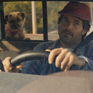 Foto Ruim pra Cachorro