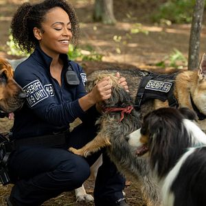 Foto Ruim pra Cachorro