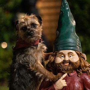 Foto Ruim pra Cachorro