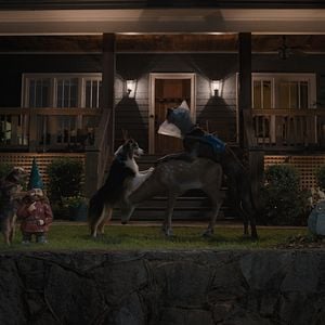 Foto Ruim pra Cachorro