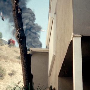 Foto Something in the Dirt