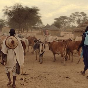 Foto Herói de Sangue