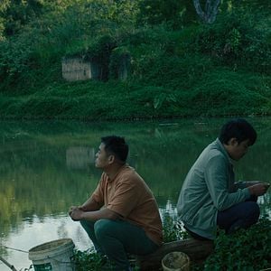 Foto Dentro do Casulo Amarelo