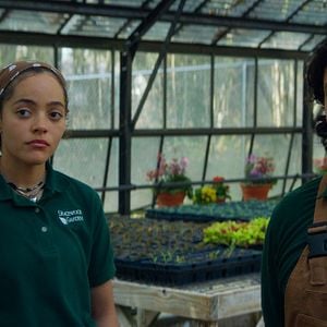 Foto Jardim dos Desejos